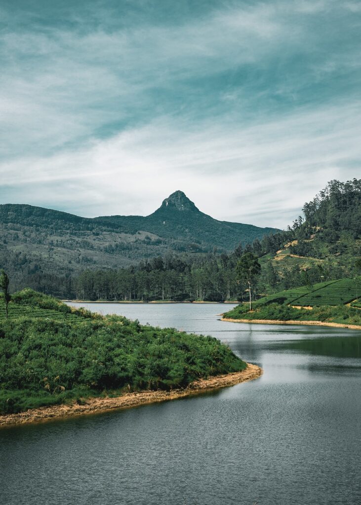 Ashburnham Estate – A Cuppa Steaming Tea | Park Lake in Kandy