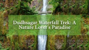 Dudhsagar Waterfall Trek