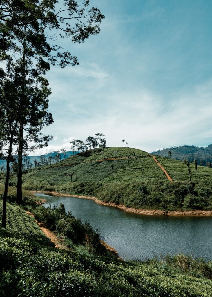 Kandy Lake – Nature Walk