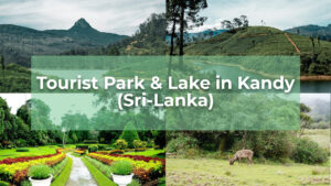 Park Lake in Kandy