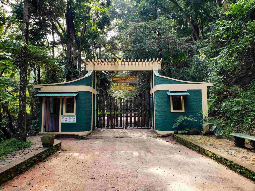 Udawatta Kele Sanctuary | Historical Places for Tourists in Kandy