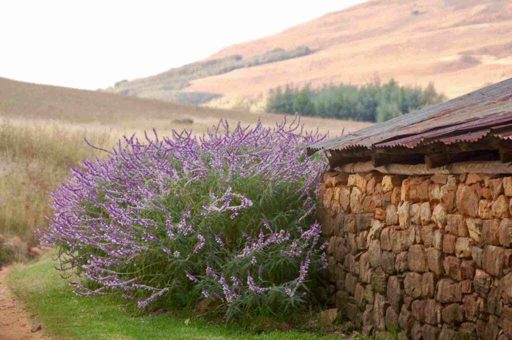 Dullsturm | Travel Destinations in South Africa