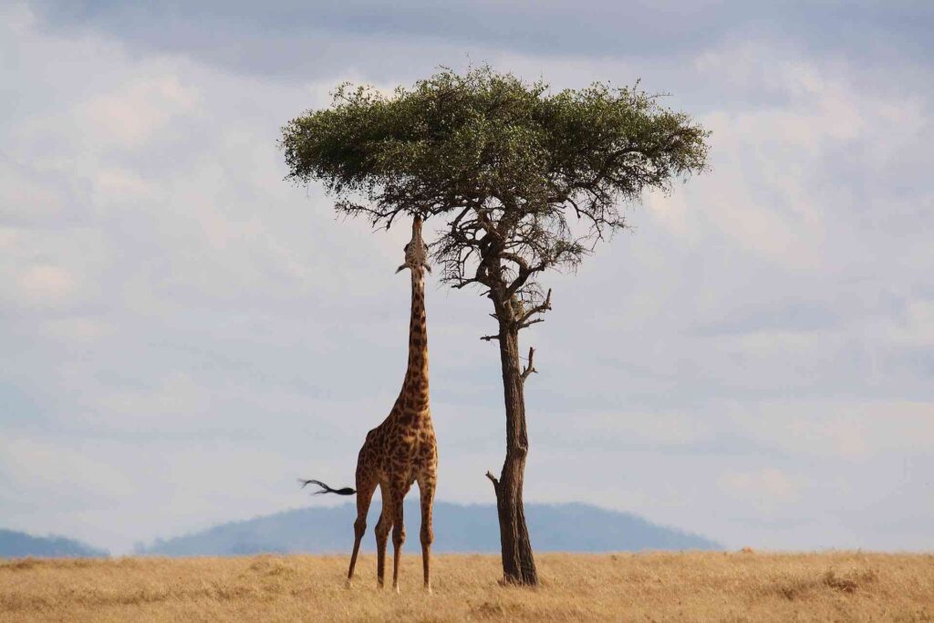 Waterberg | Travel Destinations in South Africa