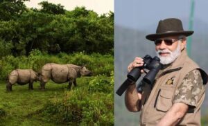 PM Modi ने असम के काजीरंगा नेशनल पार्क में सफारी की, हाथी को खिलाया, और एक-सींगी गैंडा देखा