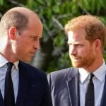 Social Media पर 'Grooving' Prince William’ VS Prince Harry के बारे में विवाद उठ रहा है, जब Taylor Swift के Wembley Concert के बाद